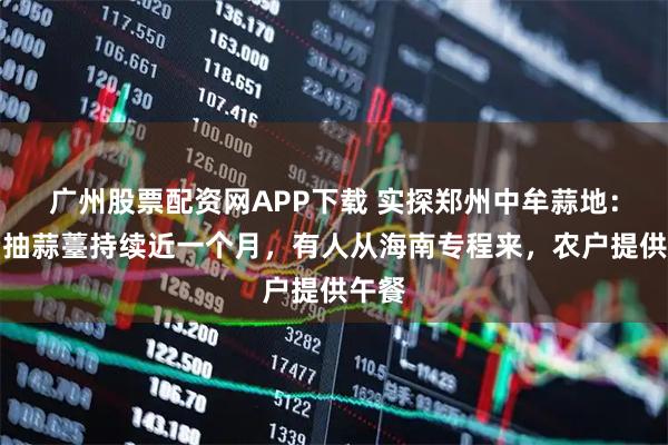 广州股票配资网APP下载 实探郑州中牟蒜地：免费抽蒜薹持续近一个月，有人从海南专程来，农户提供午餐